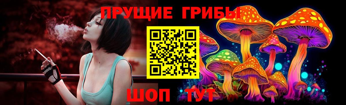 Псилоцибиновые грибы Cubensis  Вход с VPN  наркотики  Анжеро-Судженск 